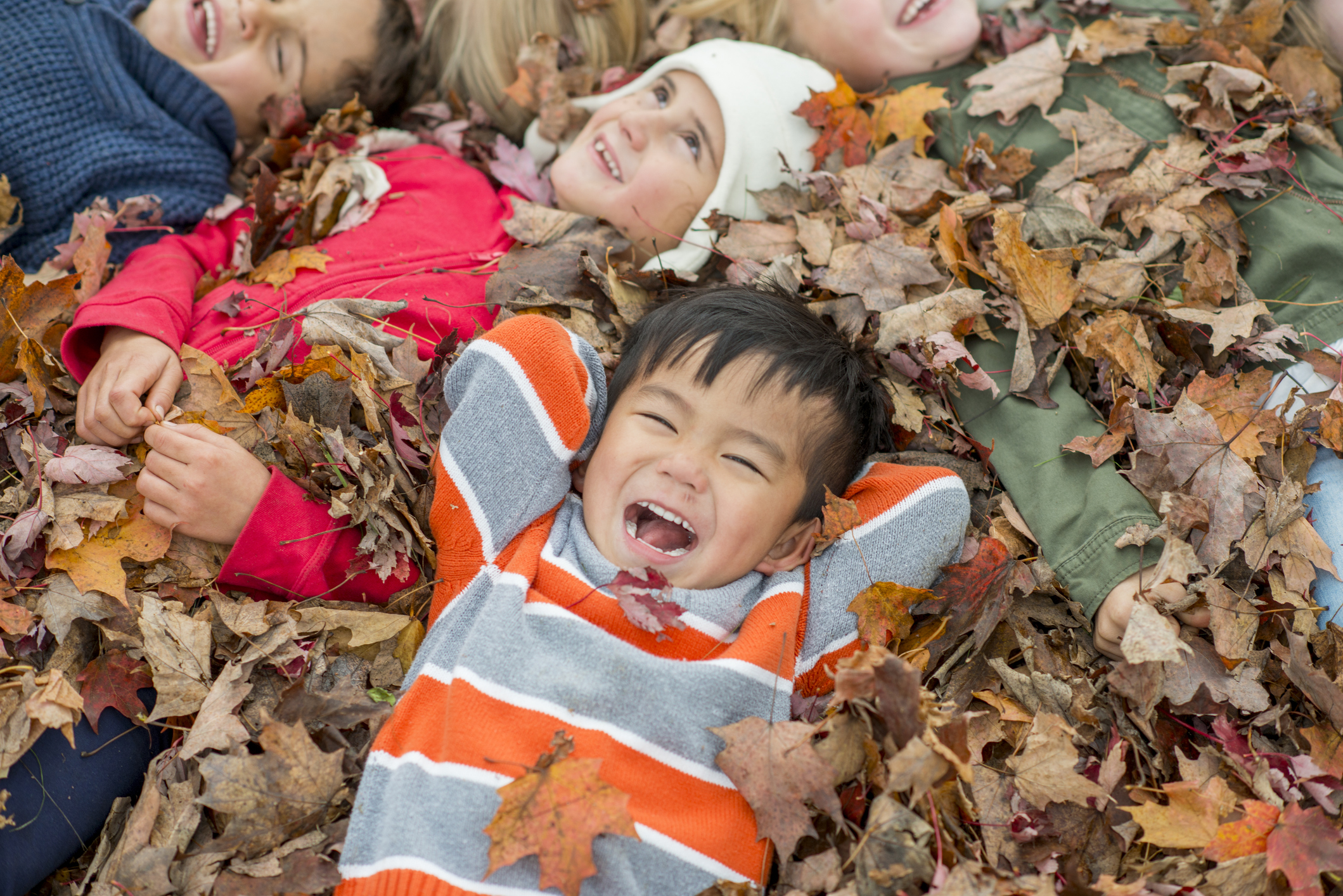 Kids playing in a pile of leaves